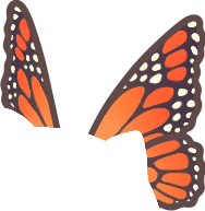 Monarch Butterfly Wings